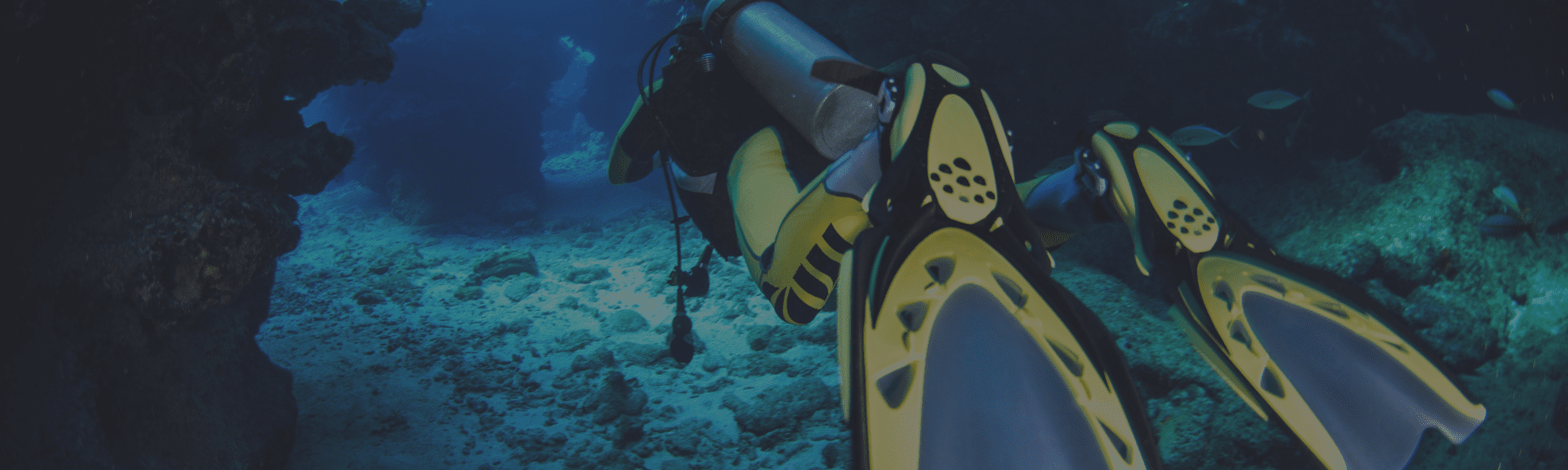 Streamlining Scuba Diving Insurance: Maximizing Coverage Efficiency and Peace of Mind